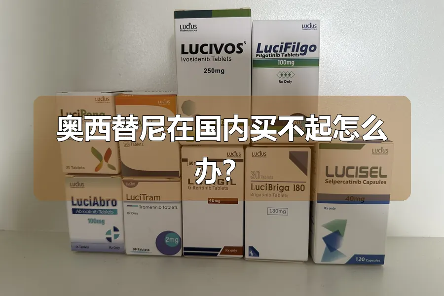 奥西替尼在国内买不起怎么办?